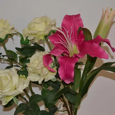 Central Avenue Bed & Breakfast Bologna